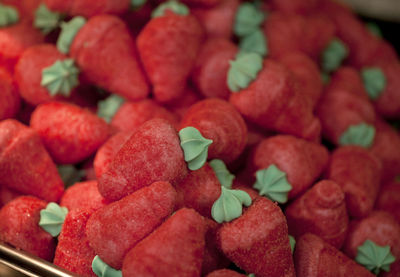 Close-up of red fruit