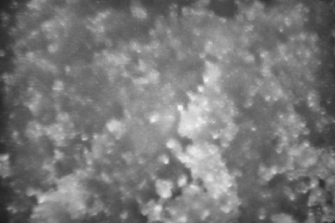 DEFOCUSED IMAGE OF SKY