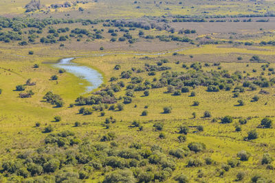 High angle view of green landscape