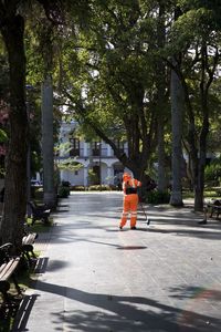 Rear view of woman walking on street