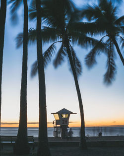 Silhouette palm trees on beach against sky during sunset