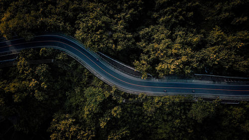 High angle view of road amidst trees in forest