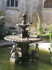 Statue by fountain in city