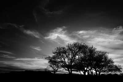 Low angle view of silhouette trees against sky