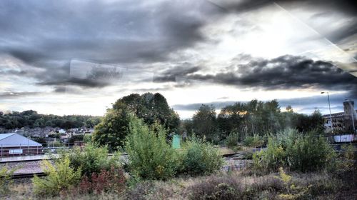 Trees and buildings against cloudy sky