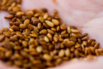 Close-up of corn on table