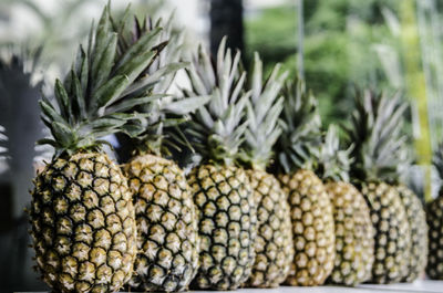 Close-up of pineapples arranged on table for sale