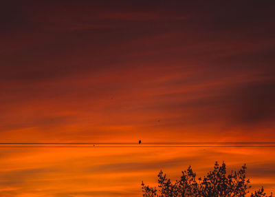 Scenic view of orange sky