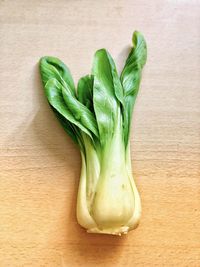 High angle view of green vegetables on table