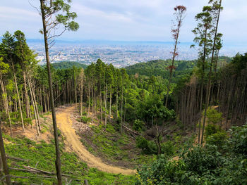 Elevated view of osaka city, with deforestation taking place in the foreground. 