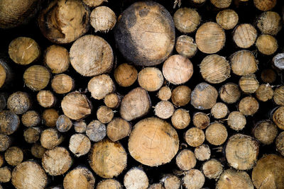 Full frame shot of logs