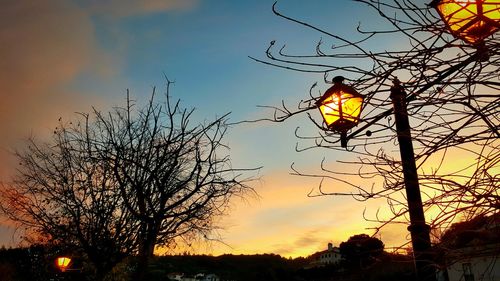 Low angle view of silhouette trees against sky at sunset