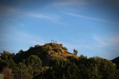 Trees on mountain against sky