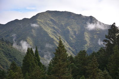 Scenic view of mountains against cloudy sky