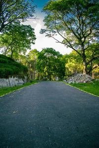 Road amidst trees in park against sky