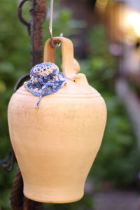 Close-up of fruits hanging on plant in back yard