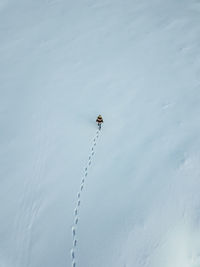 Aerial view of woman walking on snow covered field
