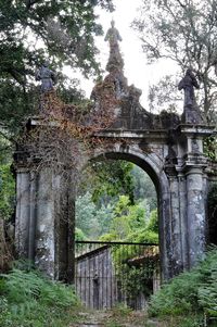 Low angle view of old bridge against trees