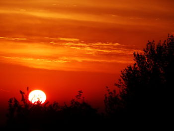 Silhouette trees against sky during sunset