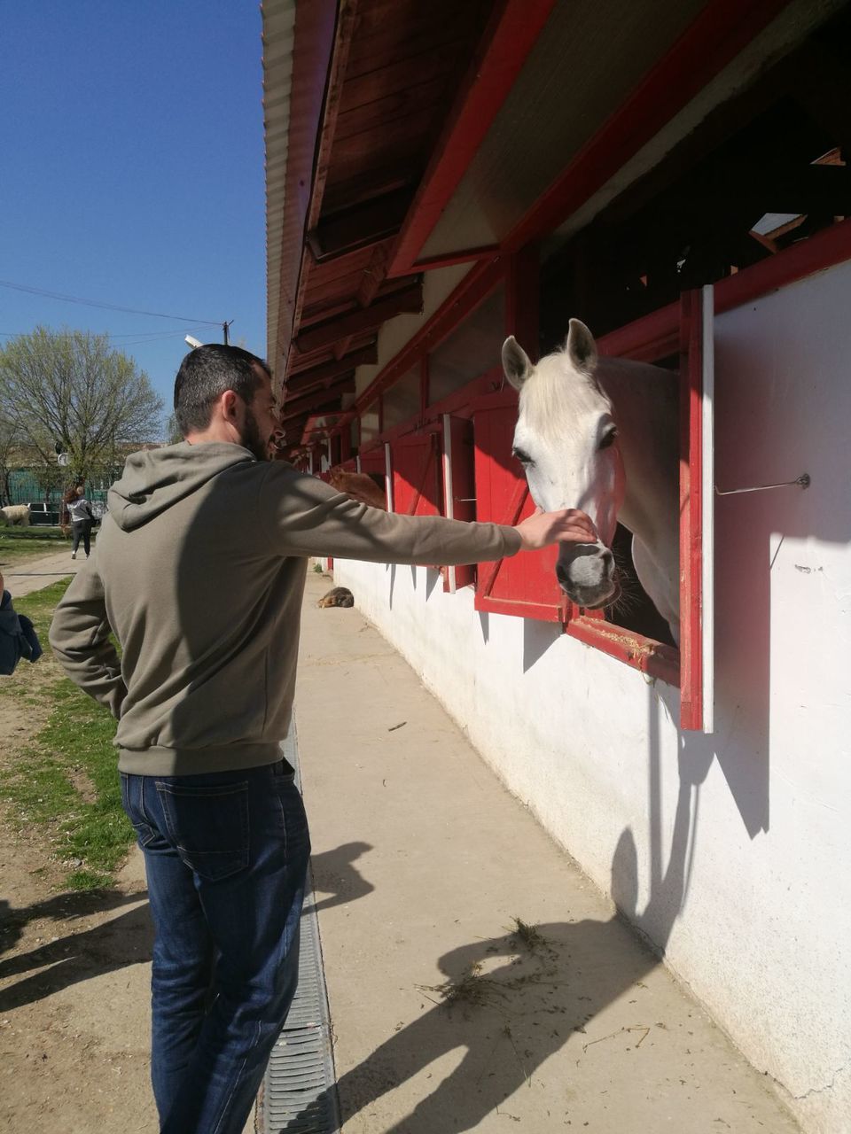 one person, casual clothing, sunlight, real people, mammal, one animal, men, domestic, domestic animals, shadow, day, rear view, pets, vertebrate, architecture, nature, leisure activity, outdoors