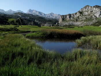Scenic view of landscape against sky