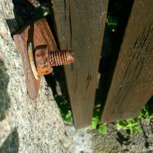 Close-up of wooden plank