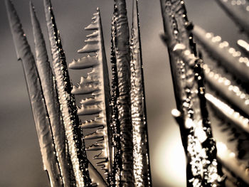 Close-up of icicles against sky