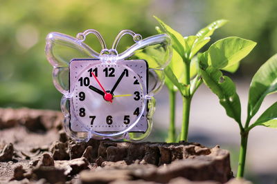 The clock is set with nature.