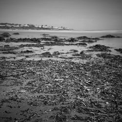 Scenic view of beach