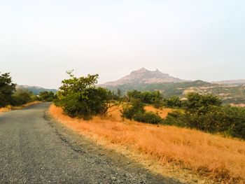 Road amidst trees against clear sky