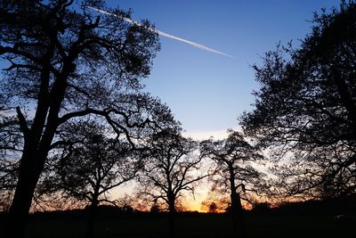 Low angle view of silhouette trees against sky during sunset