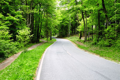 Road amidst trees in forest