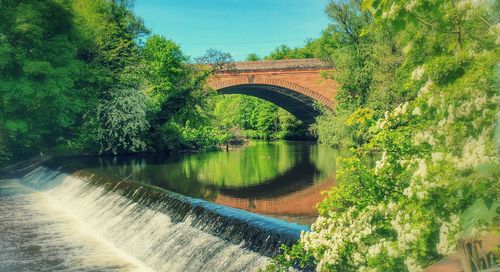 Arch bridge over river amidst trees