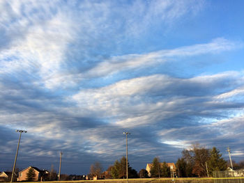 Trees against cloudy sky