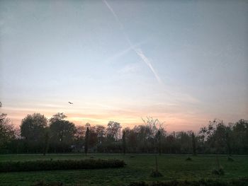 Scenic view of field against sky during sunset