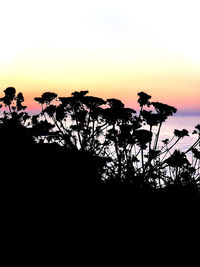 Silhouette plants against sky during sunset