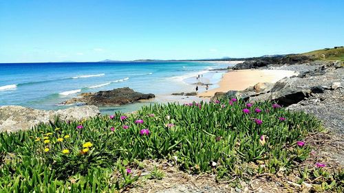 Scenic view of sea against clear blue sky