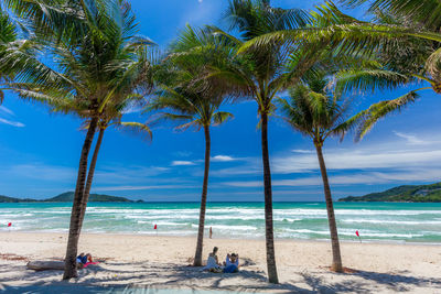 Palm trees on beach against blue sky