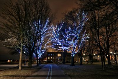 Illuminated street amidst trees at night