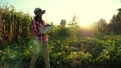 At sunset, female farmer in plaid shirt and hat walks through the field, vegetable garden