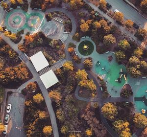 High angle view of trees in water