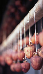 Dried fruits hanging on pole