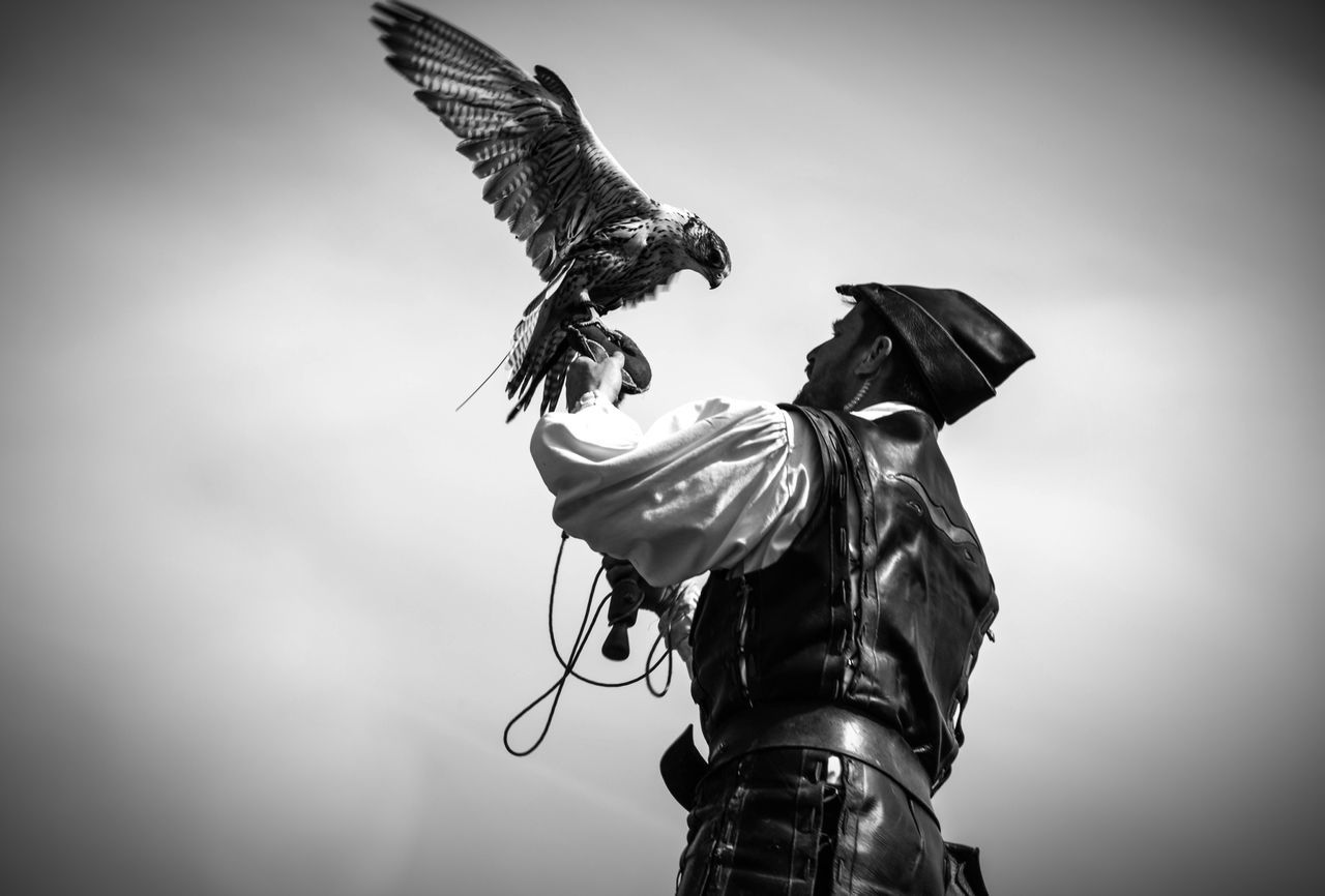 low angle view, bird, animal themes, spread wings, animals in the wild, one animal, sky, wildlife, flying, perching, clear sky, day, focus on foreground, full length, outdoors, animal wing, freedom, mid-air, sculpture, statue