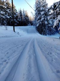 Snow covered road amidst trees during winter