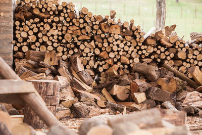 Stack of logs