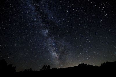 Low angle view of silhouette trees against star field at night