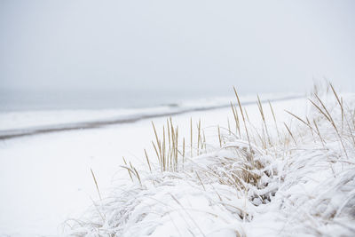 Snow covered beach during winter snow