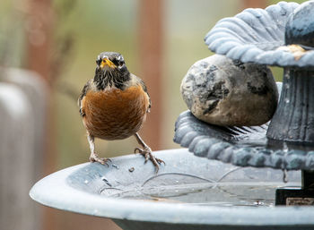 On the edge of the fountain