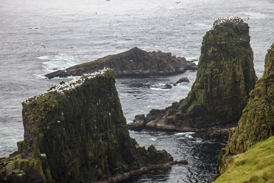 High angle view of rocks at sea shore