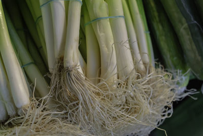 Close-up of fresh vegetables